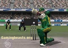 EA Sports Cricket 2007 Game For PC