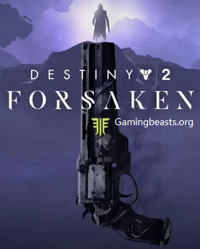 Destiny 2 Forsaken PC Game